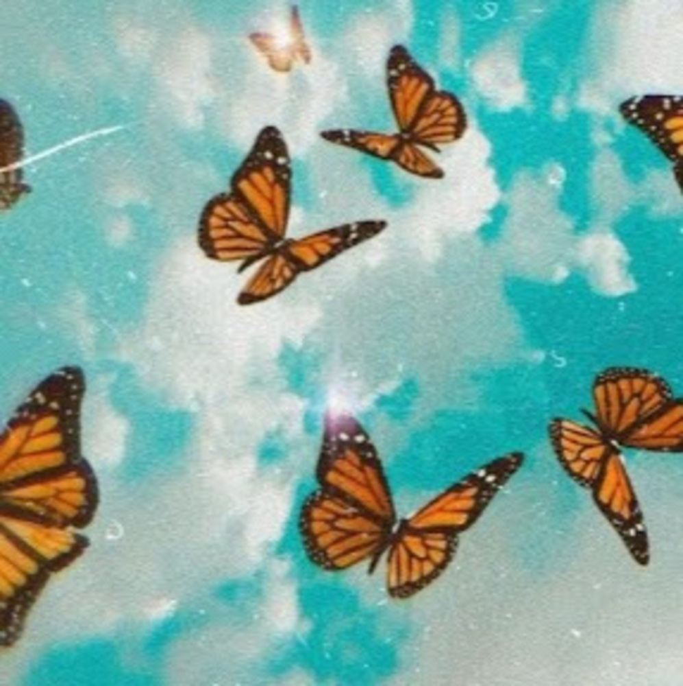 Meet your Posher, Miranda